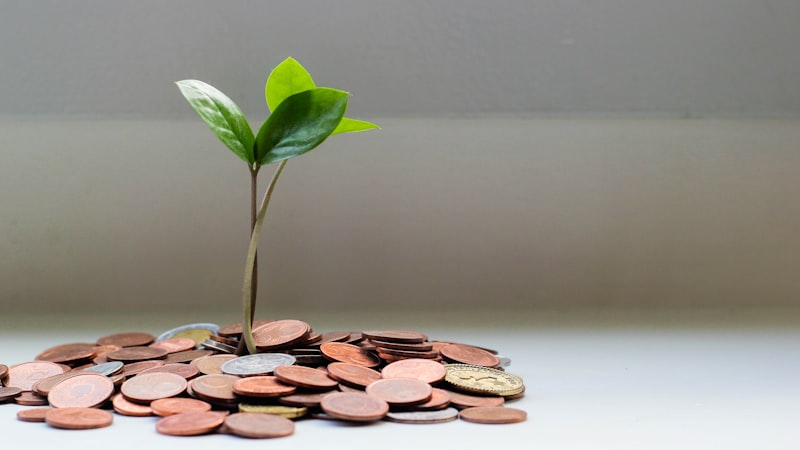 Lending Business Case Study